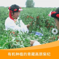 可益康枸杞原浆300ml