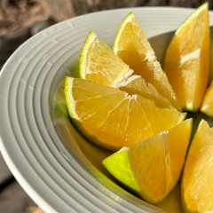 蛮鲜森冰糖橙香甜多汁5斤装顺丰包邮