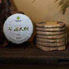 云边贡 布朗大树 普洱茶生茶357g茶饼 云南供销社茶山直供