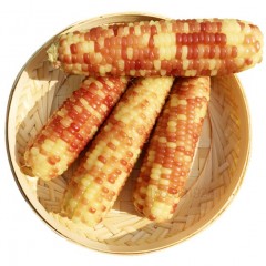 西双版纳甜糯小玉米小包谷礼盒装4斤