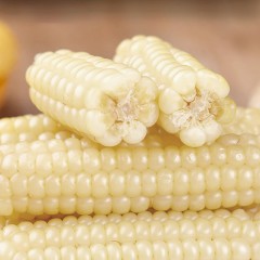 【新品上市】拇指玉米礼盒装 健康首选 香甜软糯 早八利器 开启美好的夏天