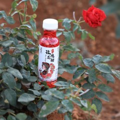 弥勒云南玫瑰鲜花醋植物饮品礼盒装310ml*12瓶