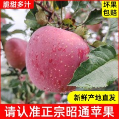 昭通丑苹果 冰糖心 净重4.5-8斤 水嫩 脆甜 多汁 果园直发