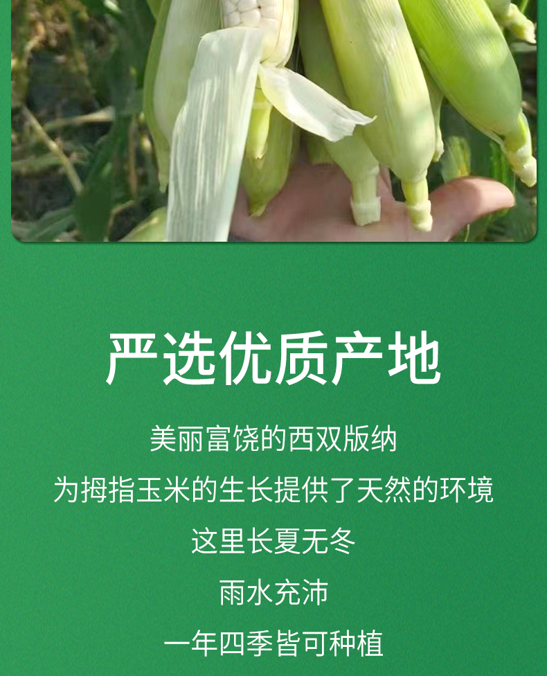 拇指玉米详情页_04.jpg