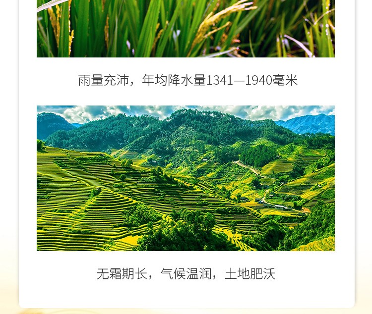 丝苗米2.5kg-详情5.jpg