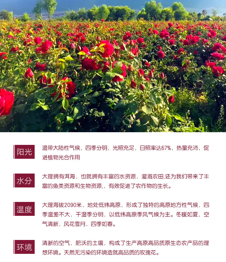 花茶详情页_06.jpg