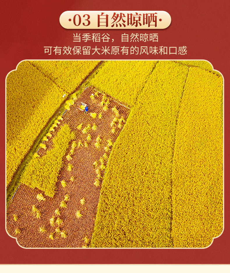 八宝贡米长粒香家米10kg_11.jpg