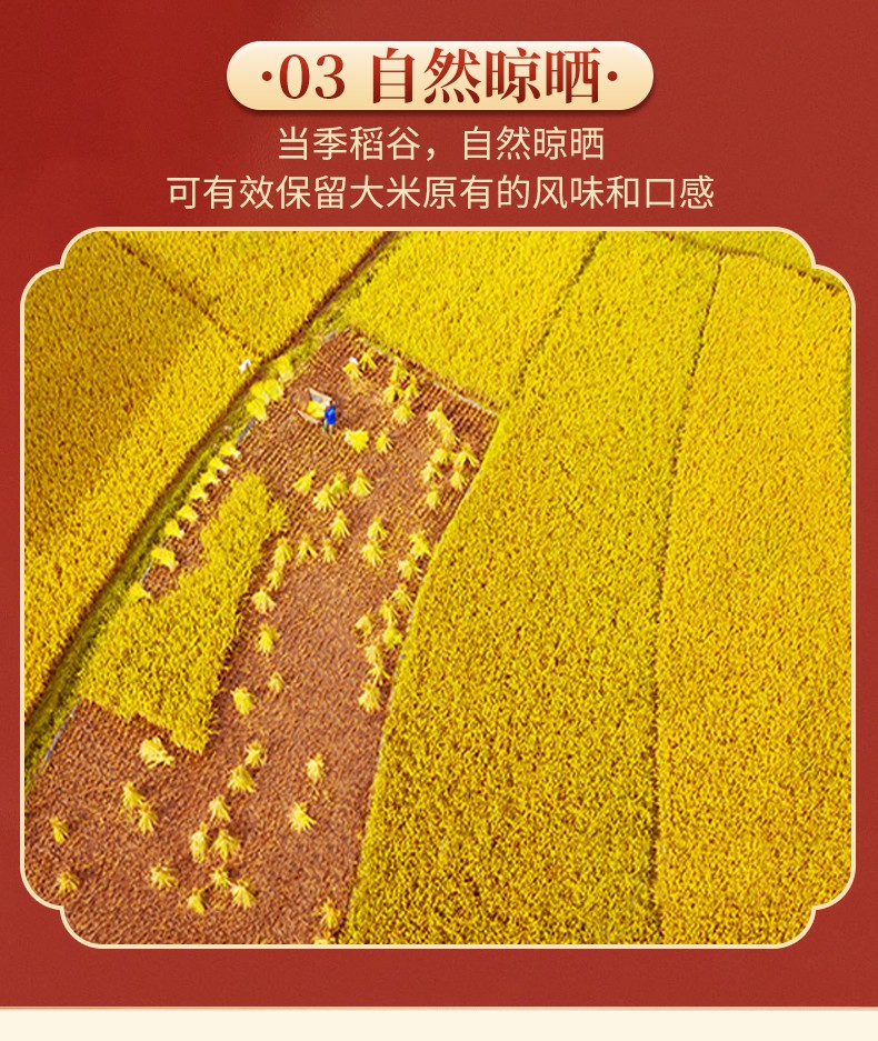 八宝贡米长粒香家米5kg_11.jpg